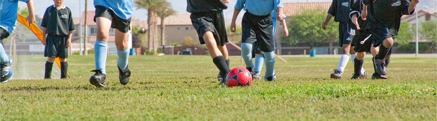 Nevada Alliance Soccer League, U7's Game